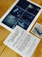 International Print Club