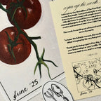 International Print Club